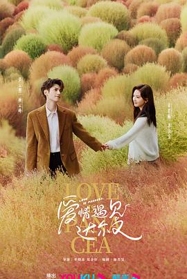 阜宁seo优化盐城辰娇